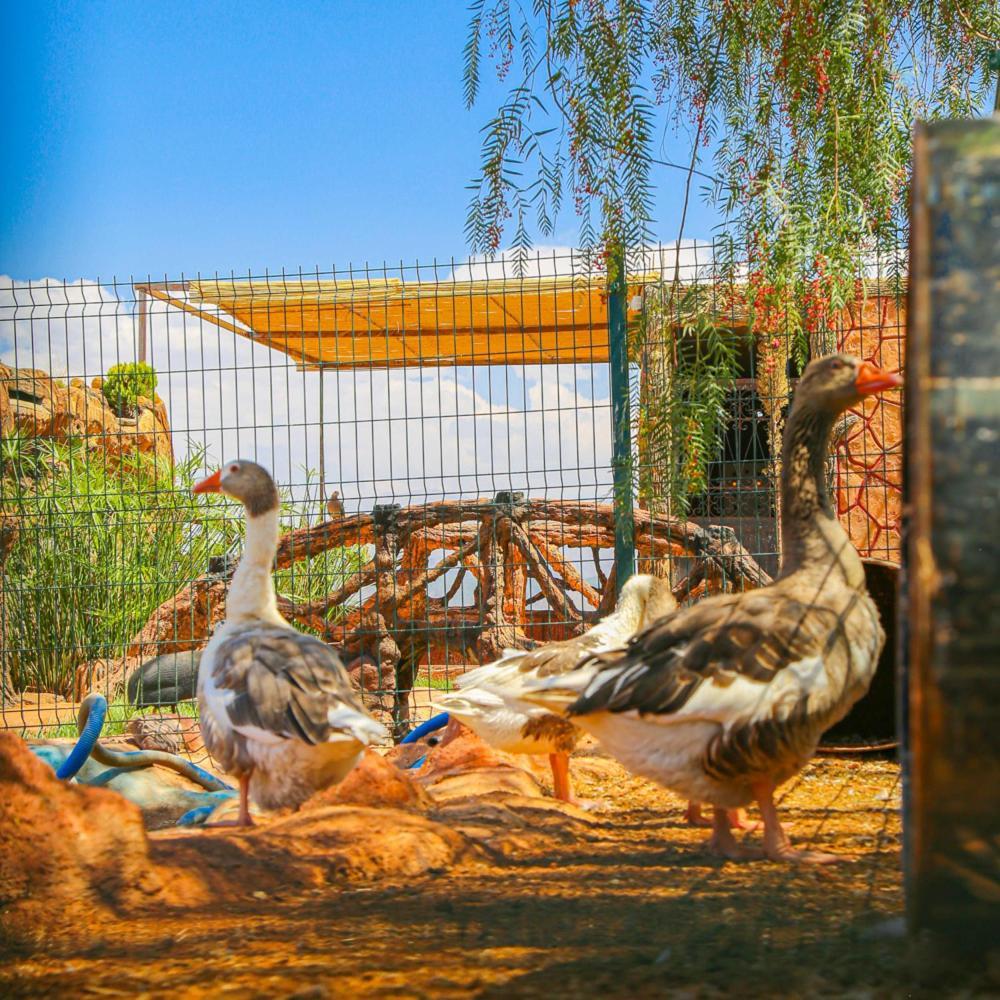 Hotel Jnane Riad Douar Akkara 外观 照片